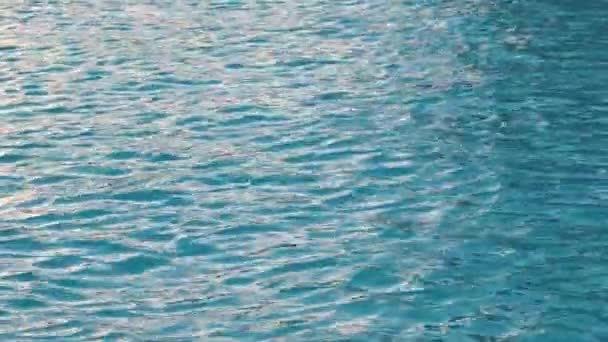 Närbild havsbild yta av blått havsvatten med små ringar vågor — Stockvideo