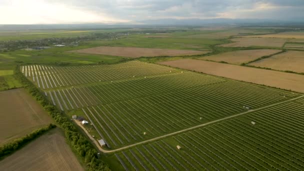 Letecký pohled na velkou udržitelnou elektrárnu s řadou solárních fotovoltaických panelů pro výrobu čisté elektrické energie v dopoledních hodinách. Obnovitelná elektřina s koncepcí nulových emisí. — Stock video