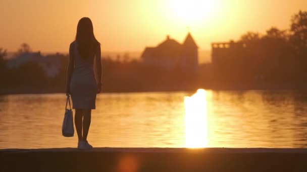 Vue arrière de la femme solitaire debout sur le bord du lac le soir chaud. Concept de solitude et de relaxation — Video