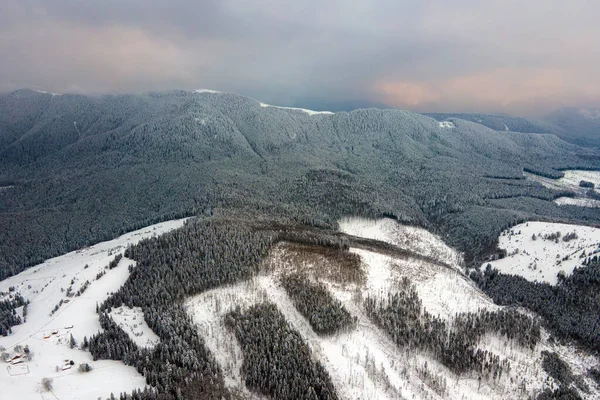 Вид Воздуха Бесплодный Зимний Пейзаж Горными Холмами Покрытыми Вечнозеленым Сосновым — стоковое фото
