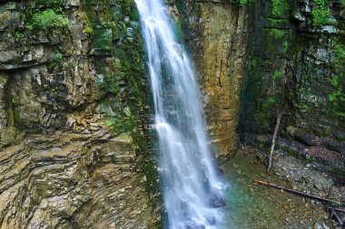 Yaz ormanlarında kayalık oluşumdan dökülen köpüklü suyla birlikte dağ nehrine dökülen şelale..