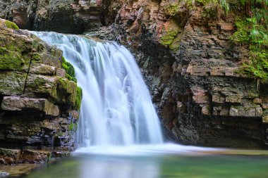 Yaz ormanlarında kayalık oluşumdan dökülen köpüklü suyla birlikte dağ nehrine dökülen şelale..