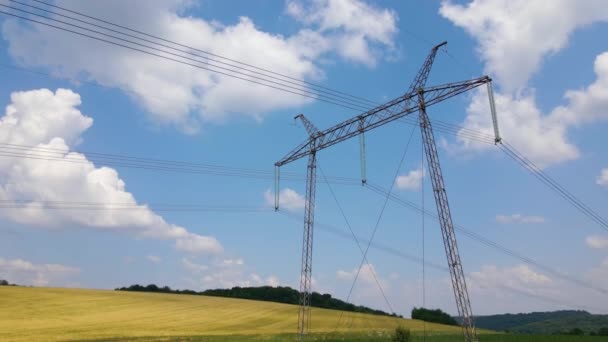 緑の農地の間に電力線を持つ高電圧タワー。電気の概念の移転 — ストック動画