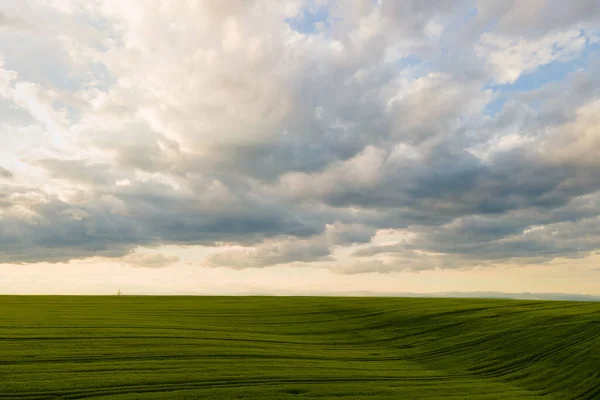 Vzdušná krajina pohled na zeleně obdělávaná zemědělská pole s rostoucí plodiny v jasný letní den — Stock fotografie