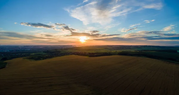 Vista aérea del paisaje del campo agrícola cultivado amarillo con trigo maduro en la vibrante noche de verano —  Fotos de Stock