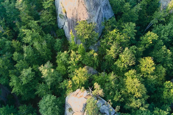 Αεροφωτογραφία του λαμπρού τοπίου με καταπράσινα δάση και μεγάλους βραχώδεις βράχους ανάμεσα σε πυκνά δάση το καλοκαίρι. Όμορφο τοπίο από άγρια δάση — Φωτογραφία Αρχείου