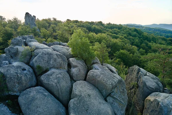 Vista aérea del paisaje brillante con árboles forestales verdes y grandes rocas rocosas entre densos bosques en verano. Hermoso paisaje de bosque salvaje — Foto de Stock