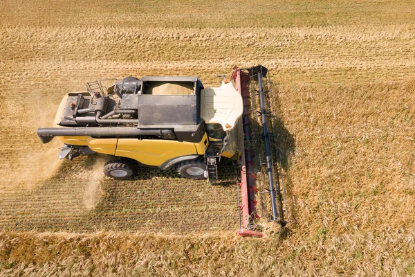 Widok z lotu ptaka na kombajn zbożowy zbierający duże dojrzałe pole pszenicy. Rolnictwo z punktu widzenia dronów — Zdjęcie stockowe