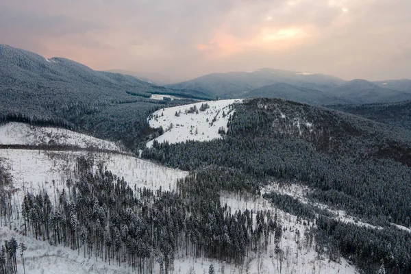 Luftige Winterlandschaft mit sprossen Bäumen aus schneebedecktem Wald in kalten Bergen am Abend — Stockfoto