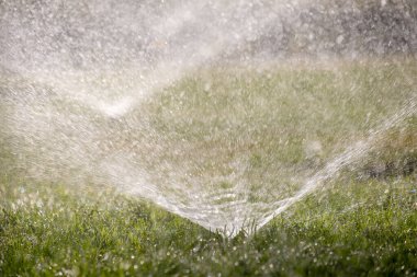 Plastik fıskiyeler çimenleri sulıyor yaz bahçesinde suyla. Yeşil bitkileri sulamak kurak mevsimi taze tutmak içindir.