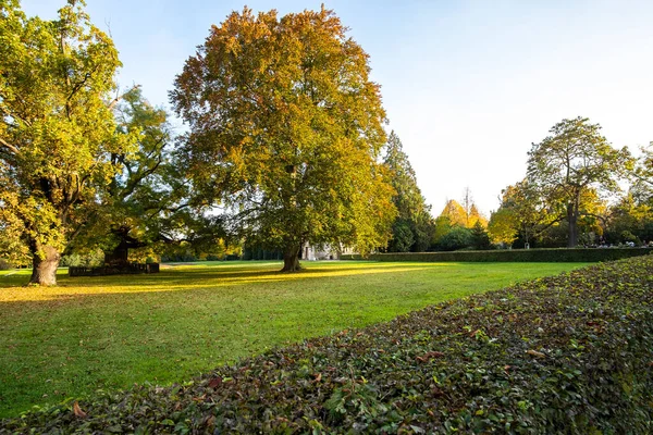 Árboles verdes y amarillos en el parque de otoño — Foto de Stock