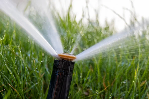 夏の庭で水で芝生の芝生を灌漑するプラスチックスプリンクラー。乾燥した季節に緑の植生に水をやることで新鮮さを保つ — ストック写真