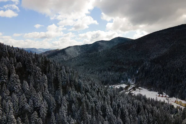 Зимний пейзаж с распыляющимися деревьями заснеженных лесов в холодных горах — стоковое фото
