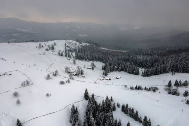 Soğuk dağlarda karla kaplı ormanlar arasında küçük kır evleri olan hava manzarası