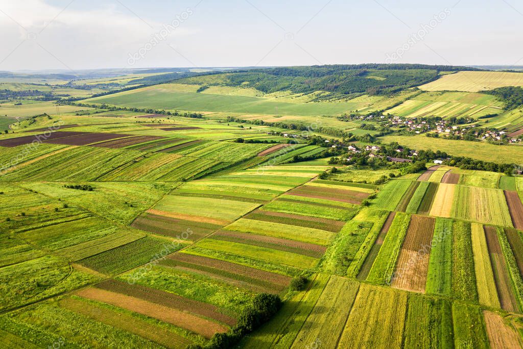 Aerial view of green agricultural fields in spring with fresh vegetation after seeding season on a warm sunny day