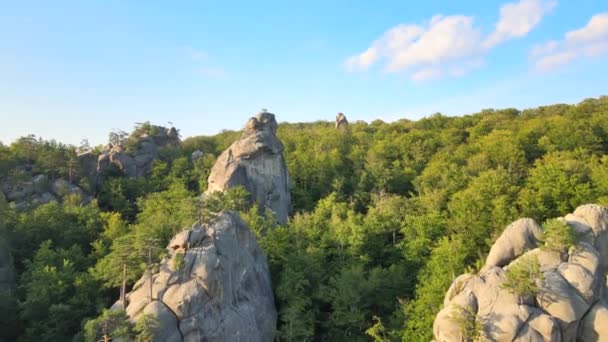 Luftaufnahme einer hellen Landschaft mit grünen Waldbäumen und großen Felsbrocken zwischen dichten Wäldern im Sommer. Schöne Landschaft mit wilden Wäldern — Stockvideo