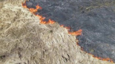 Kurak mevsimde çayırların kırmızı ateşle yandığını gösteren hava manzarası. Doğal afet ve iklim değişikliği kavramı