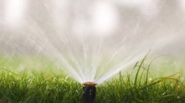 Plastik fıskiyeler çimenleri sulıyor yaz bahçesinde suyla. Yeşil bitkileri sulamak kurak mevsimi taze tutmak içindir.