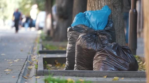 Купка чорних сміттєвих мішків, повних посліду, залишилася для збирання на вулиці. Концепція утилізації сміття — стокове відео