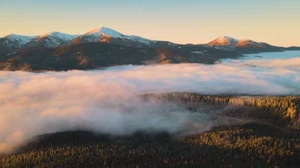 Veduta aerea dell'alba vibrante sulle colline montuose dei Carpazi coperte di boschi di abete rosso sempreverde in autunno — Video Stock