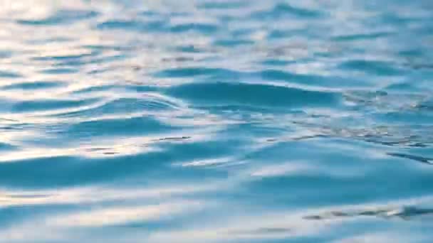 Närbild havsbild yta av blått havsvatten med små ringar vågor — Stockvideo