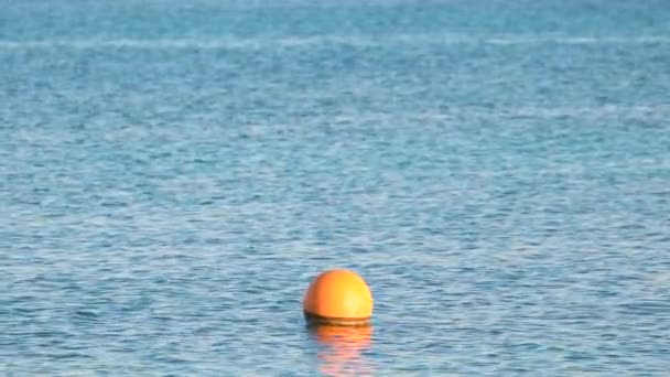 Bouée orange flottant sur les vagues de surface de la mer. Concept de sécurité humaine — Video