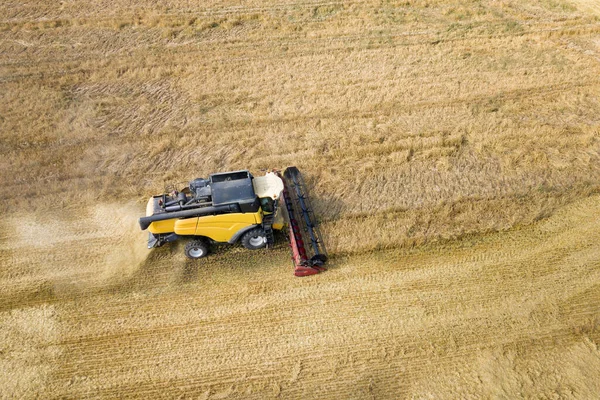 Luftaufnahme eines Mähdreschers bei der Ernte eines großen reifen Weizenfeldes. Landwirtschaft aus Drohnensicht — Stockfoto