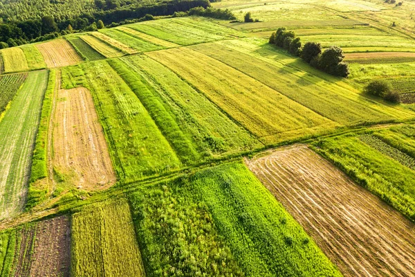 Vue aérienne des champs agricoles verts au printemps avec végétation fraîche après la saison des semis par une chaude journée ensoleillée — Photo