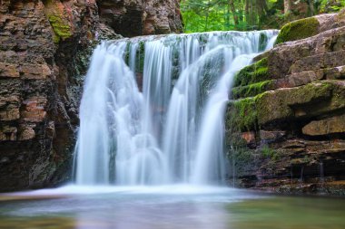 Yaz ormanlarında kayalık oluşumdan dökülen köpüklü suyla birlikte dağ nehrine dökülen şelale.