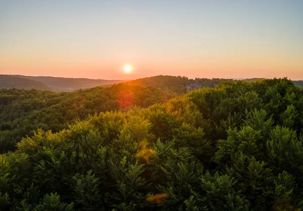 Mañana de niebla vibrante sobre árboles del bosque oscuro al amanecer brillante del verano. Paisaje amazingl de bosque salvaje al amanecer — Foto de Stock