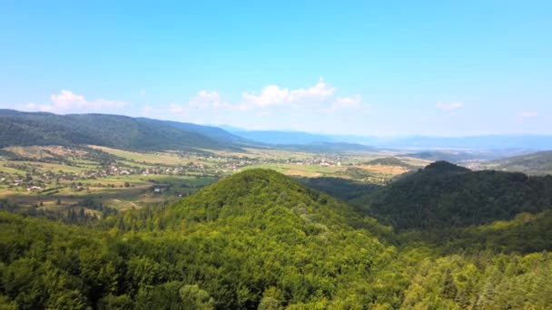 Αεροφωτογραφία των βουνών λόφων που καλύπτονται με πυκνό καταπράσινο δάσος τη φωτεινή καλοκαιρινή ημέρα — Αρχείο Βίντεο