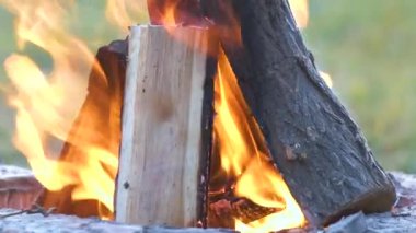 Tahta kütükler açık havada sıcak turuncu alevlerle yanıyor. Izgara ve barbekü konsepti
