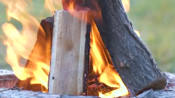 木制原木在室外篝火中燃烧着炽热的橙色火焰.烧烤及烧烤概念 — 图库视频影像