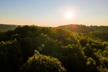 Sıcak yaz günbatımında karanlık orman ağaçlarının üzerinde parlak sisli bir sabah manzarası. Şafak vakti vahşi ormanın güzel manzarası