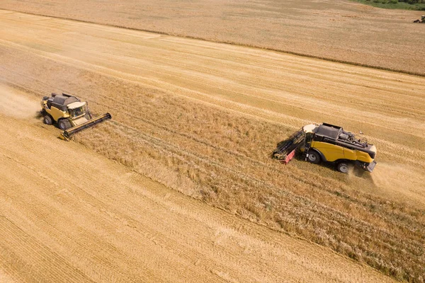 Luchtfoto van maaidorsers die grote gele rijpe tarwevelden oogsten — Stockfoto