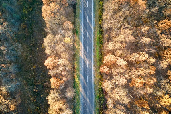 Вид з повітря на порожню міжміську дорогу між осінніми лісами на заході сонця. Вид зверху з дрона шосе ввечері — стокове фото