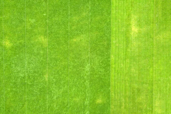 Close up εναέρια άποψη της επιφάνειας του πράσινου φρεσκοκομμένο γρασίδι στο γήπεδο ποδοσφαίρου το καλοκαίρι — Φωτογραφία Αρχείου