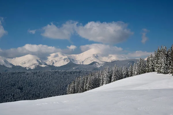Zimní krajina s vysokými horskými kopci pokryté věčně zeleným borovým lesem po silném sněžení na chladném zimním dni — Stock fotografie