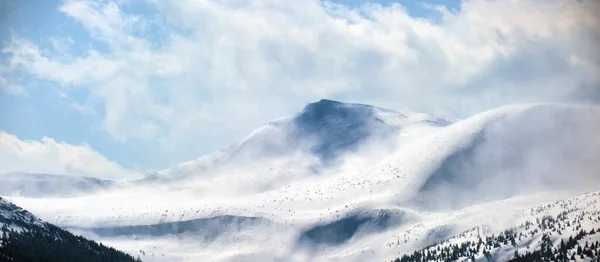 Paisagem de inverno com altas colinas de montanha cobertas com floresta de pinheiros perene após a neve pesada no dia frio e ventoso — Fotografia de Stock