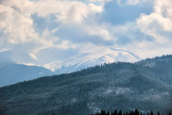 Зимовий пейзаж з спринцювальними деревами сніжного покривного лісу в холодних горах — стокове фото