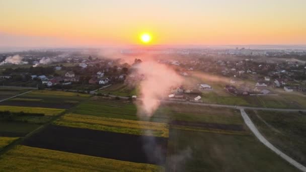 Vue aérienne des feux de joie des déchets agricoles causés par l'herbe sèche et le chaume de paille brûlant avec une épaisse fumée polluant l'air pendant la saison sèche sur les terres agricoles causant le réchauffement climatique et les fumées cancérogènes. — Video