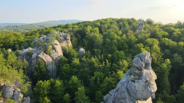 Luftaufnahme einer hellen Landschaft mit grünen Waldbäumen und großen Felsbrocken zwischen dichten Wäldern im Sommer. Schöne Landschaft mit wilden Wäldern — Stockvideo