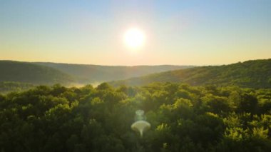 Parlak yaz günbatımında karanlık orman ağaçları üzerinde canlı sisli bir akşam. Alacakaranlıkta vahşi ormanın inanılmaz manzarası