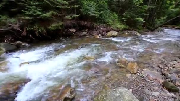 山林河流中的快速流水. — 图库视频影像