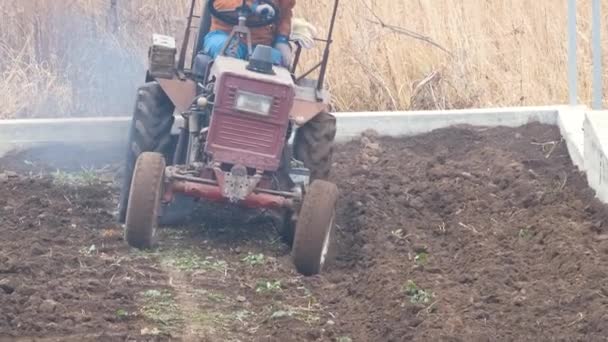 Malá farma traktor orání zemědělské pole na konci podzimu — Stock video