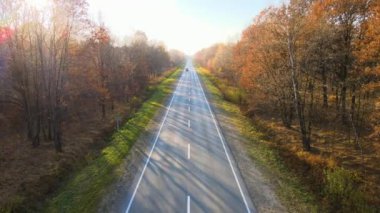 Kargo kamyonlarının otobanda mal taşırken hava görüntüsü. Teslimat ulaşım ve lojistik kavramı