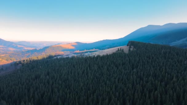 Vue aérienne des collines montagneuses couvertes de pinèdes verdoyantes denses par beau temps — Video