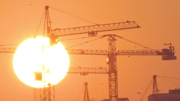 Temná silueta věžových jeřábů s velkým zapadajícím sluncem při západu slunce na staveništi obytných domů. Nemovitosti development — Stock video