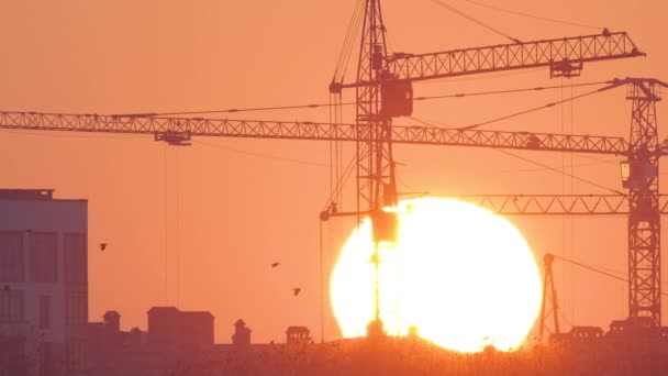 Ciemna sylwetka żurawi wieżowych z dużym zachodzącym słońcem na wysokim placu budowy budynków mieszkalnych o zachodzie słońca. Rozwój nieruchomości — Wideo stockowe