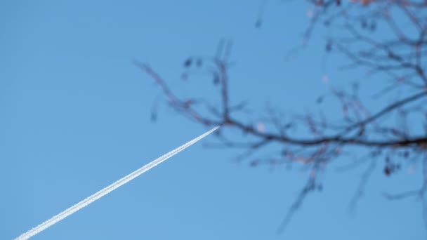 Fjärran passagerare jetplan flyger på hög höjd på klarblå himmel lämnar vit rök spår av kontrail bakom. Luftfartskoncept — Stockvideo